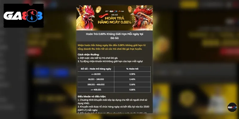 Cược chọi gà có thể nhận được ưu đãi hoàn tiền